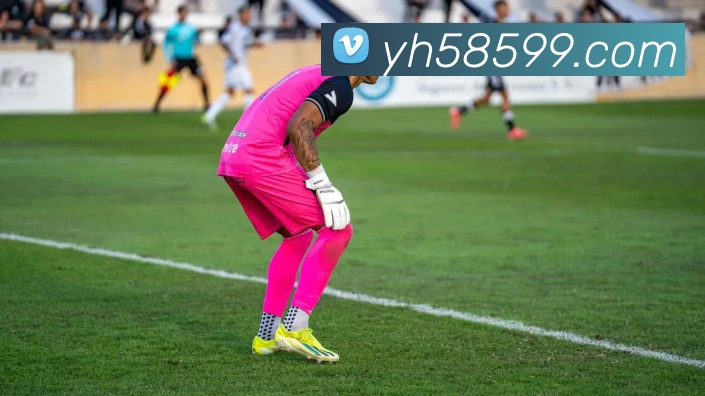 银河娱乐官网APP 封面图